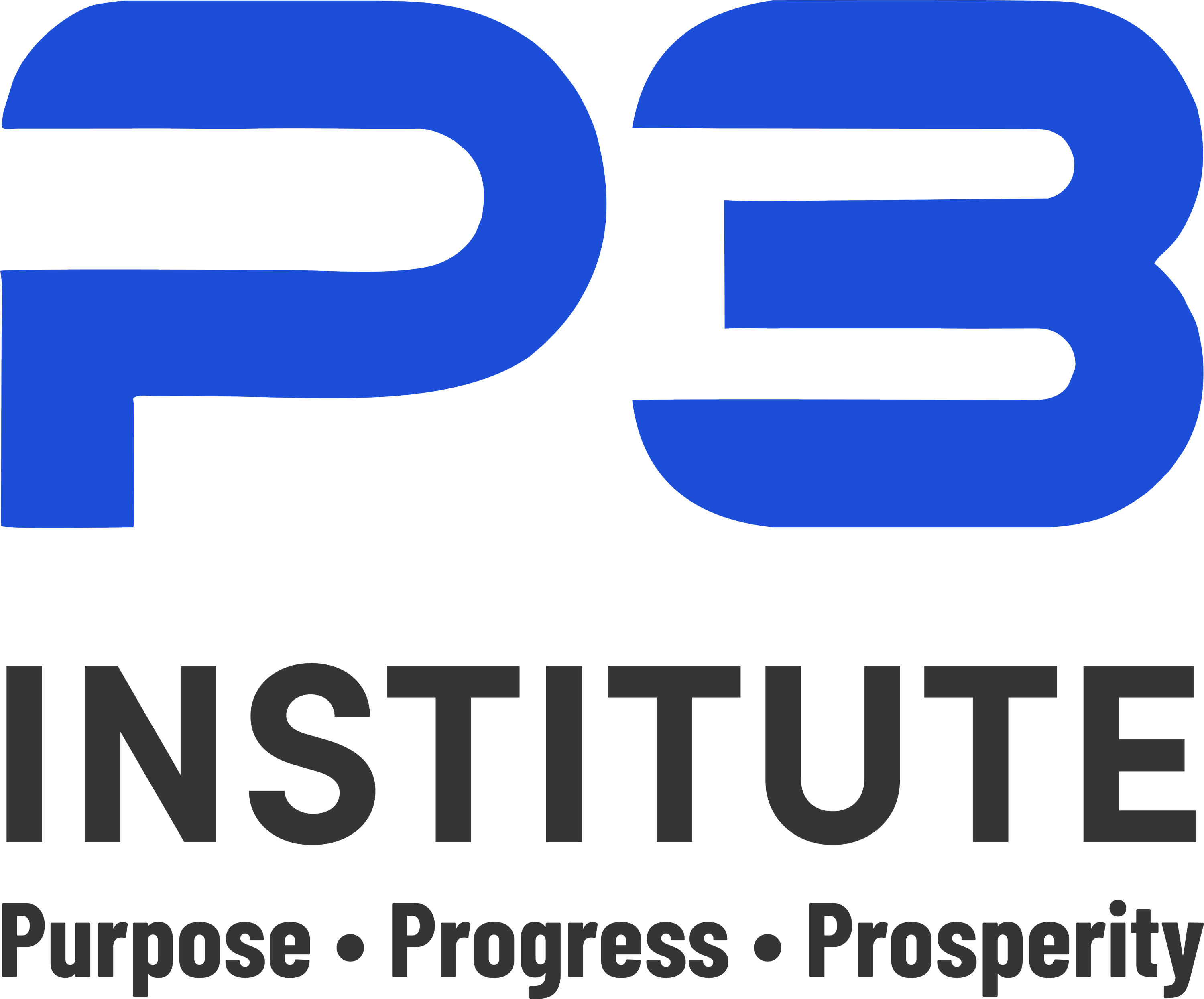 P3 Institute